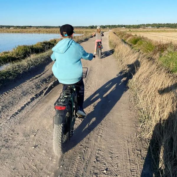 Comporta Electric Bikes