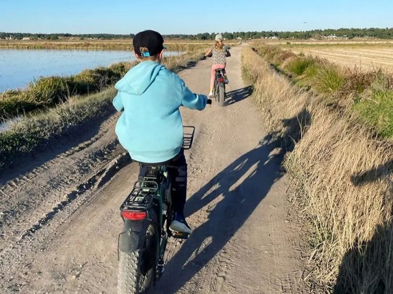 Family electric bike comporta