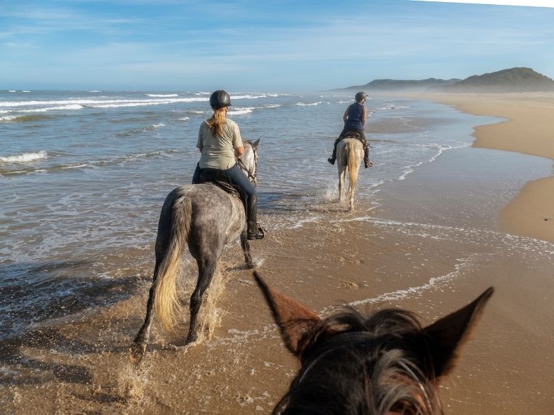 Horse riding comporta beach