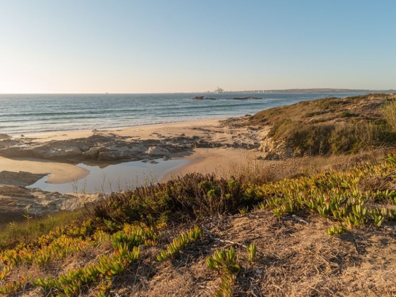 Praia sao torpes sines
