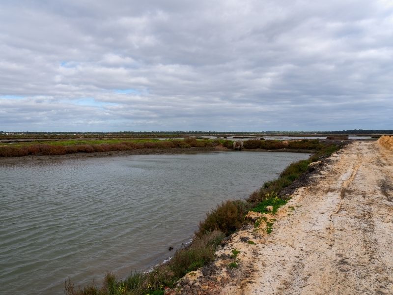 Sado estuary comporta portugal