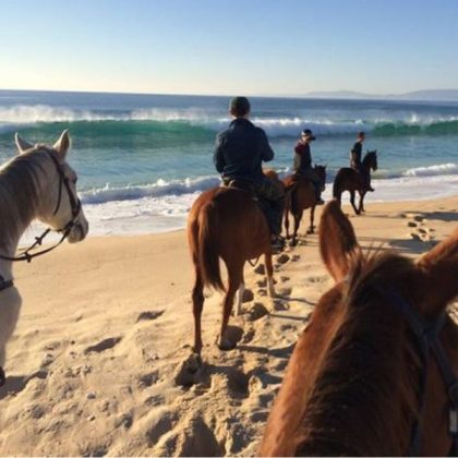 cavalos-na-areia-comporta